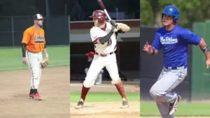 2020 Wisconsin State League All-League Teams