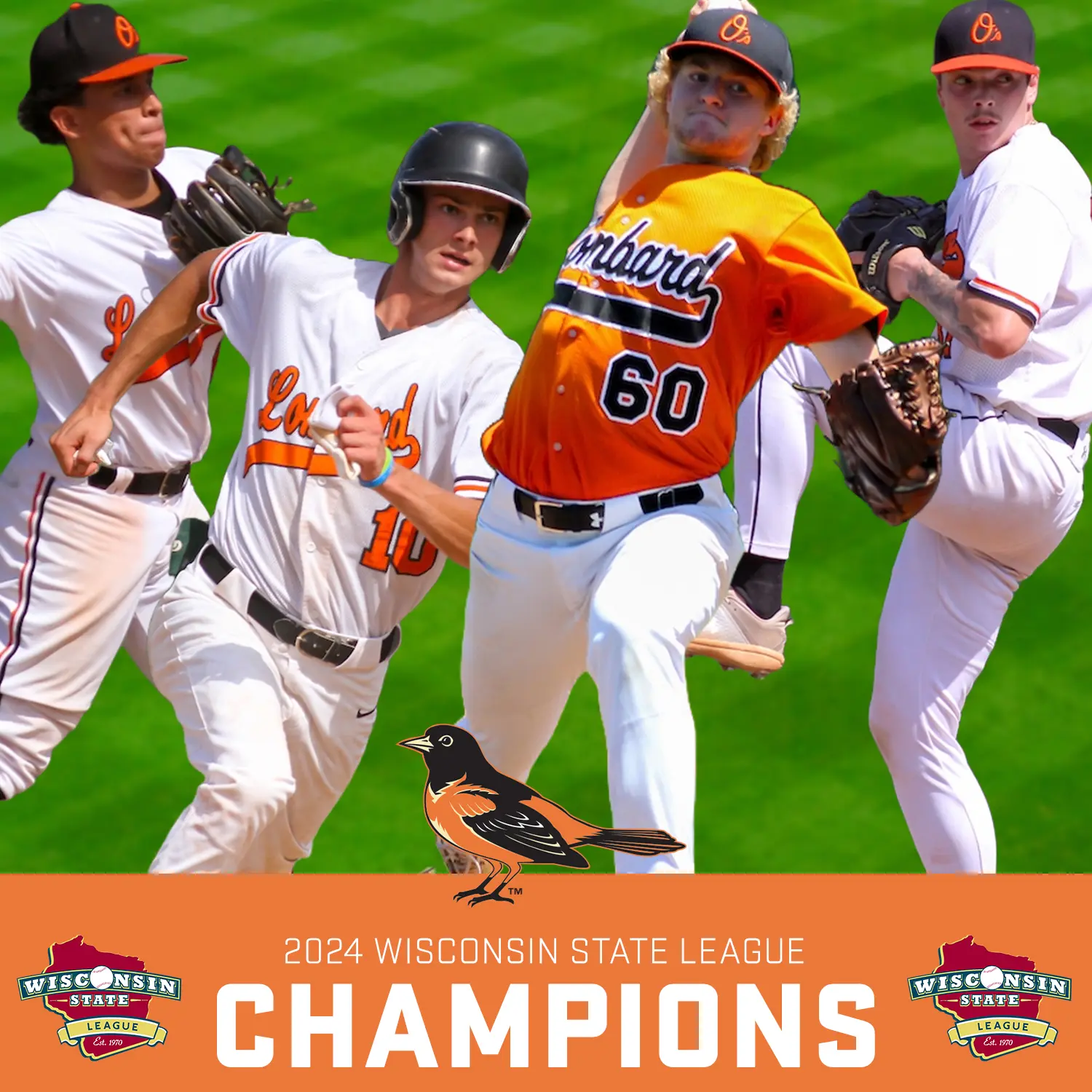 wsl-champions